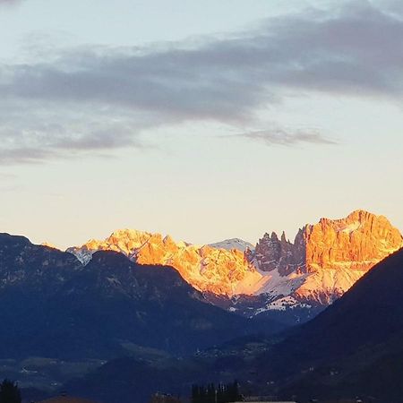 Domus Rose Rooms Bozen Exterior foto
