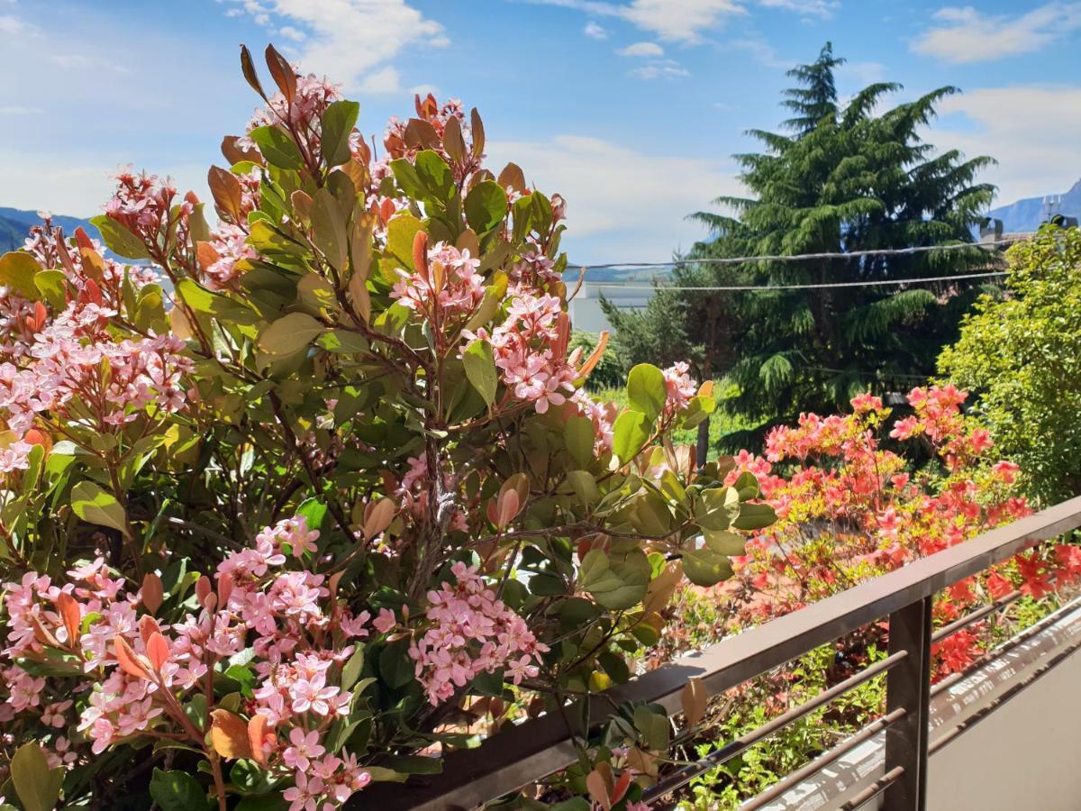 Domus Rose Rooms Bozen Exterior foto
